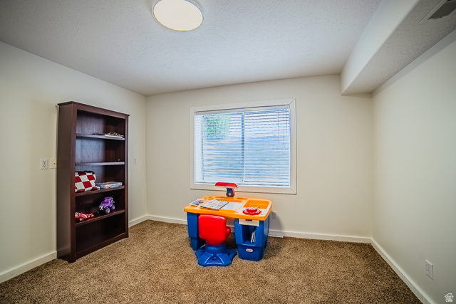 12008 Reeves Lane Riverton, UT 84065 - Photo 39 of 52