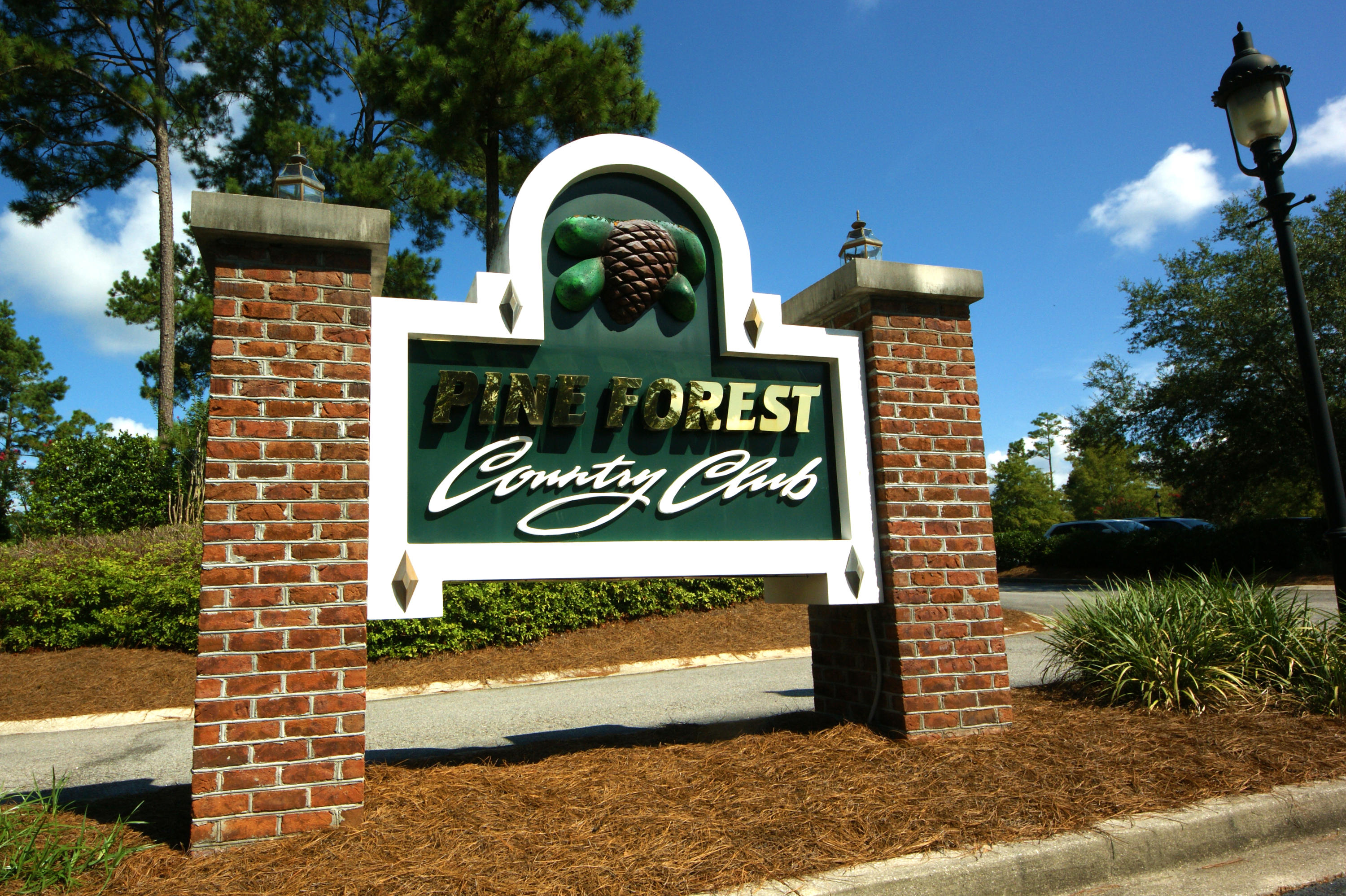 624 Kilarney Road Summerville, SC 29483 - Photo 31 of 57 081915 153_edited