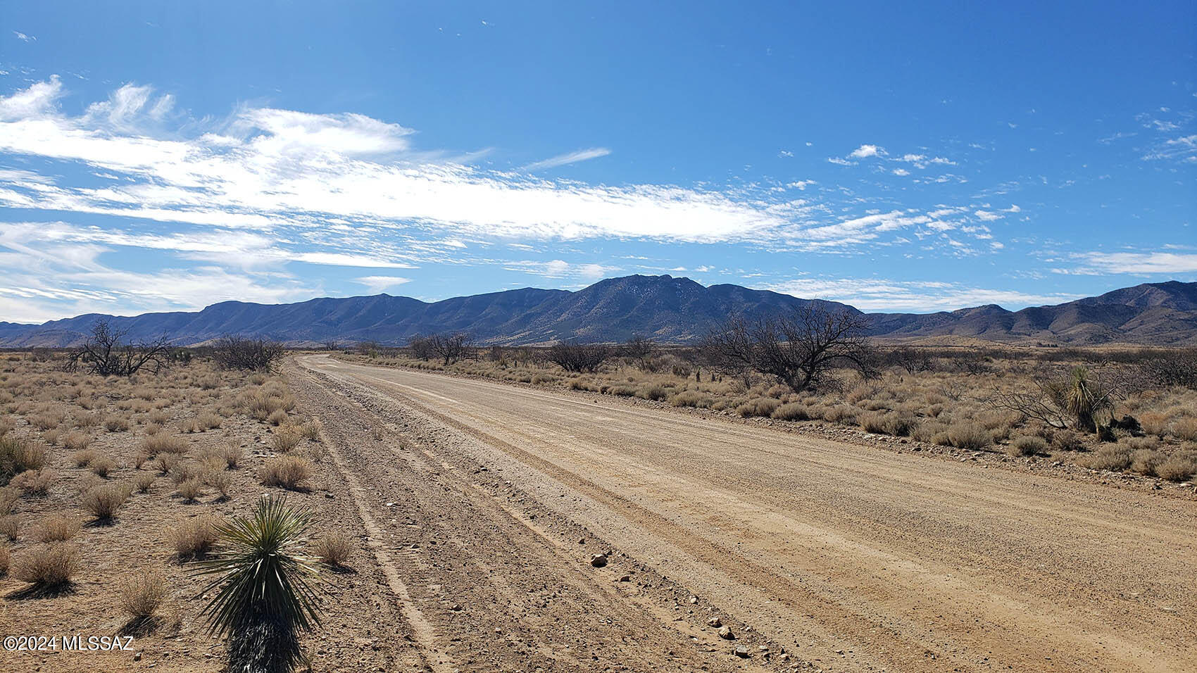 2-acres South Middlemarch Road, Unit 10 Pearce, AZ 85625 - Photo 5 of 11