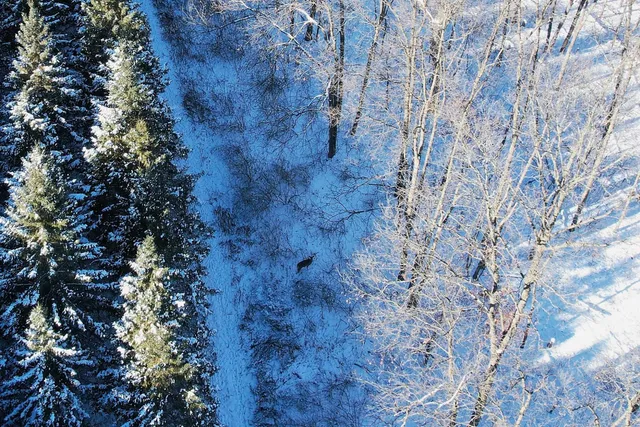 $1,317,900 | 190.81-acres Deere Path Lane, Richland Center, WI 53581