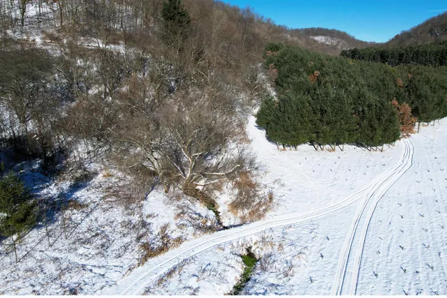 $1,317,900 | 190.81-acres Deere Path Lane, Richland Center, WI 53581