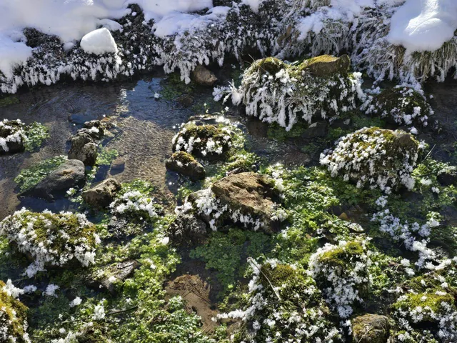 $1,317,900 | 190.81-acres Deere Path Lane, Richland Center, WI 53581