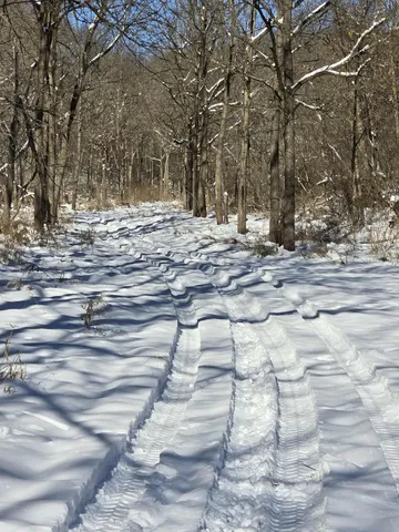 $1,317,900 | 190.81-acres Deere Path Lane, Richland Center, WI 53581