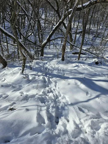 $1,317,900 | 190.81-acres Deere Path Lane, Richland Center, WI 53581