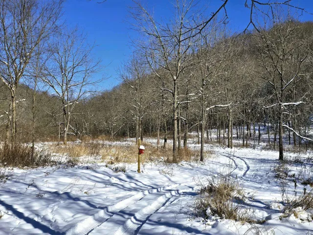 $1,317,900 | 190.81-acres Deere Path Lane, Richland Center, WI 53581