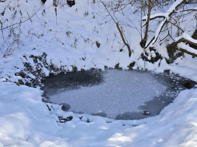 $1,317,900 | 190.81-acres Deere Path Lane, Richland Center, WI 53581