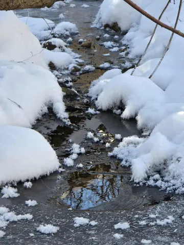 $1,317,900 | 190.81-acres Deere Path Lane, Richland Center, WI 53581