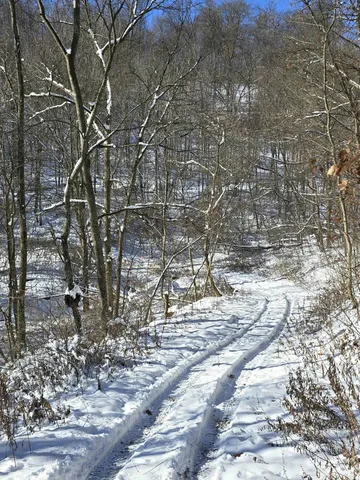 $1,317,900 | 190.81-acres Deere Path Lane, Richland Center, WI 53581