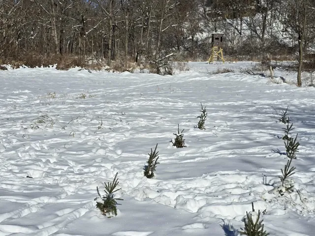 $1,317,900 | 190.81-acres Deere Path Lane, Richland Center, WI 53581