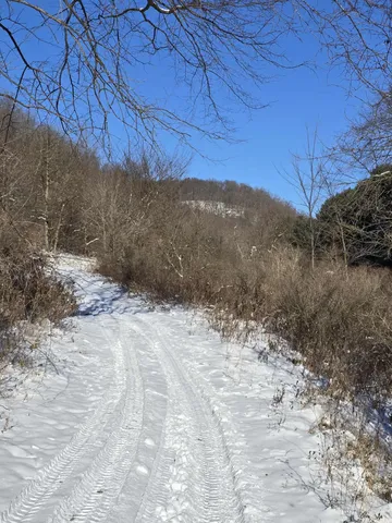 $1,317,900 | 190.81-acres Deere Path Lane, Richland Center, WI 53581