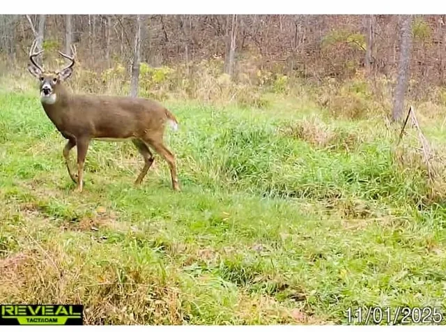 $1,317,900 | 190.81-acres Deere Path Lane, Richland Center, WI 53581