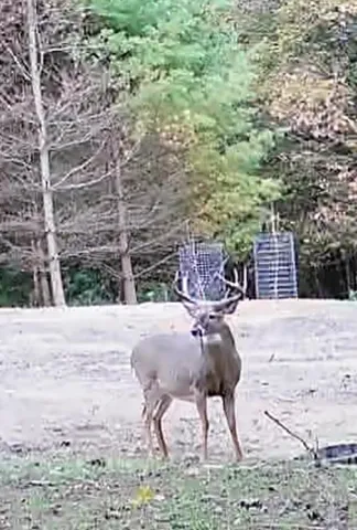 $1,317,900 | 190.81-acres Deere Path Lane, Richland Center, WI 53581