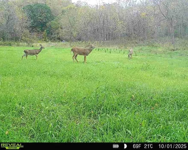 $1,317,900 | 190.81-acres Deere Path Lane, Richland Center, WI 53581