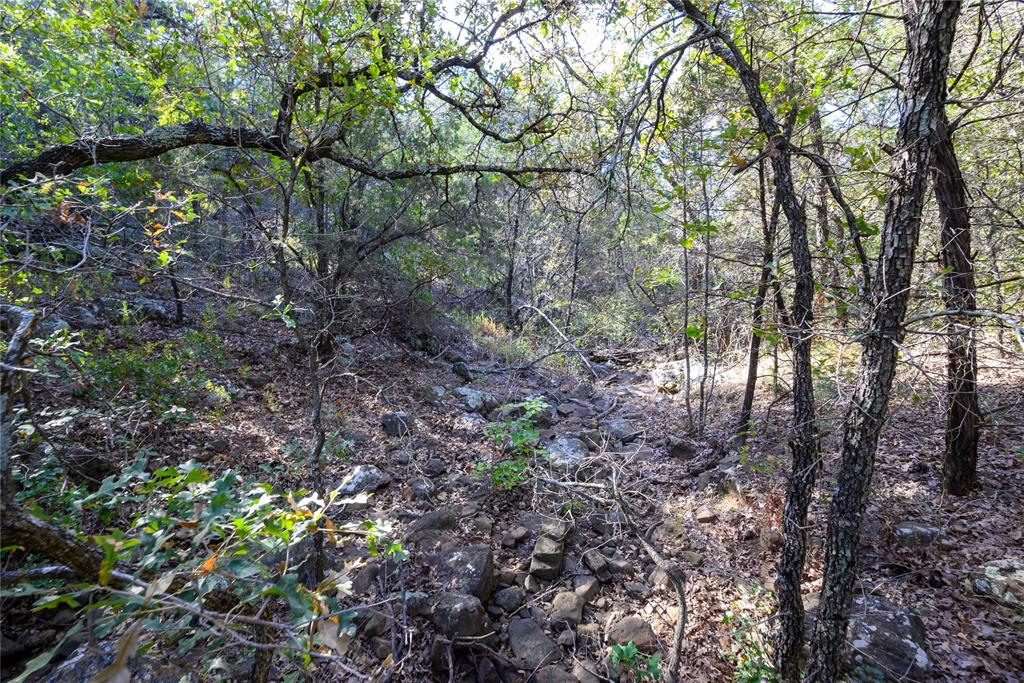 Tbd Ward Mt Road Santo, TX 76472 - Photo 2 of 17 a view of forest