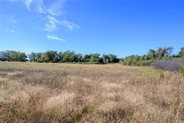 a view of a field with trees in background