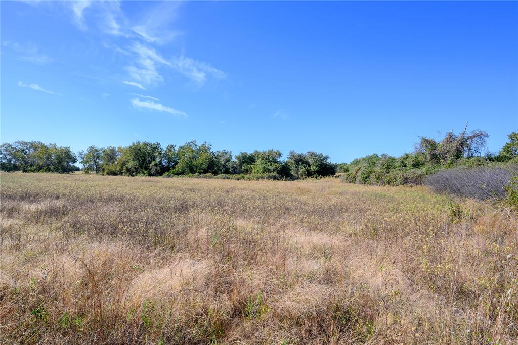 Tbd Ward Mt Road Santo, TX 76472 - Photo 8 of 17 a view of a field with trees in background