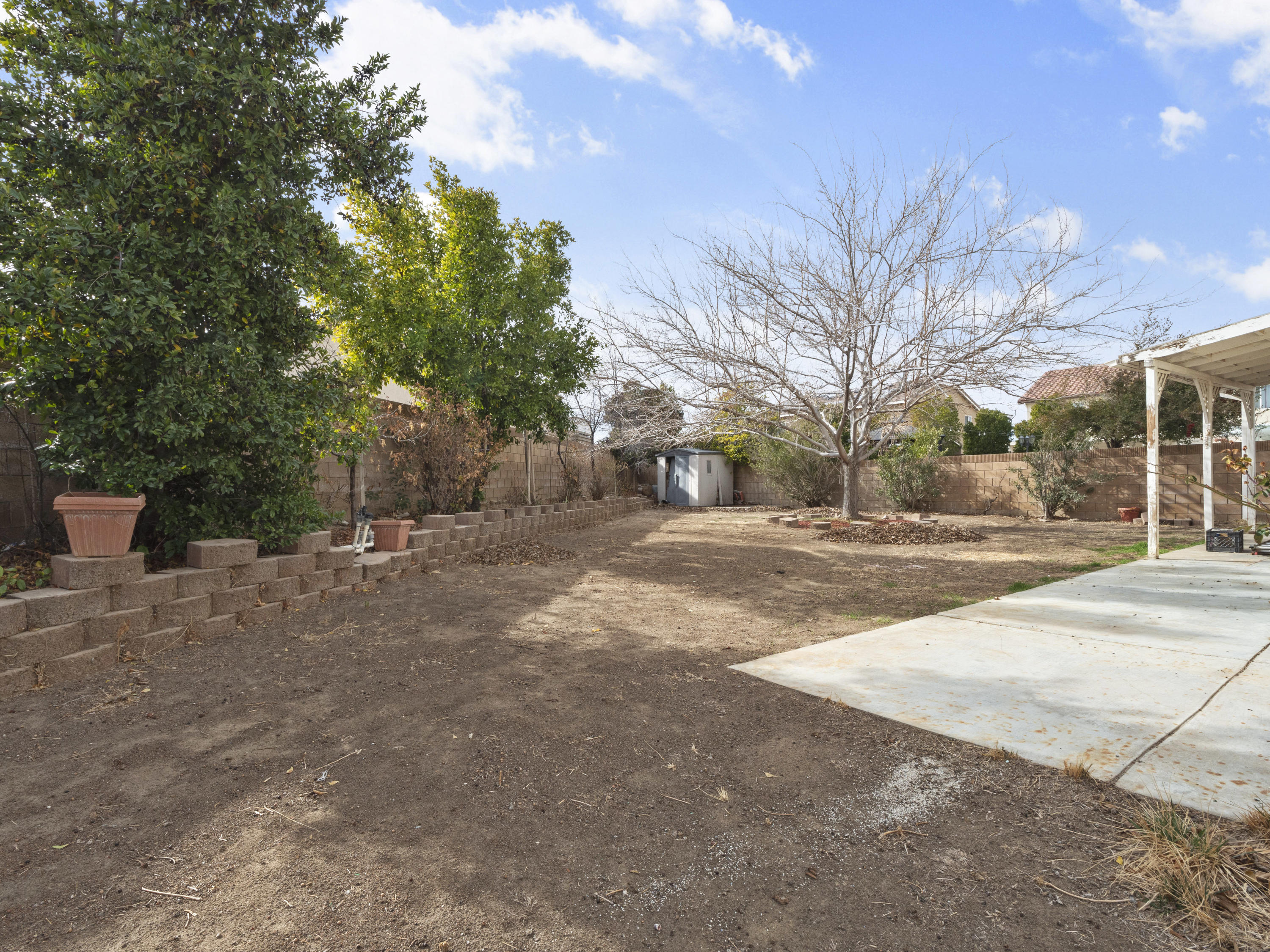 43635 Dana Drive Lancaster, CA 93535 - Photo 18 of 20 a view of road with large trees