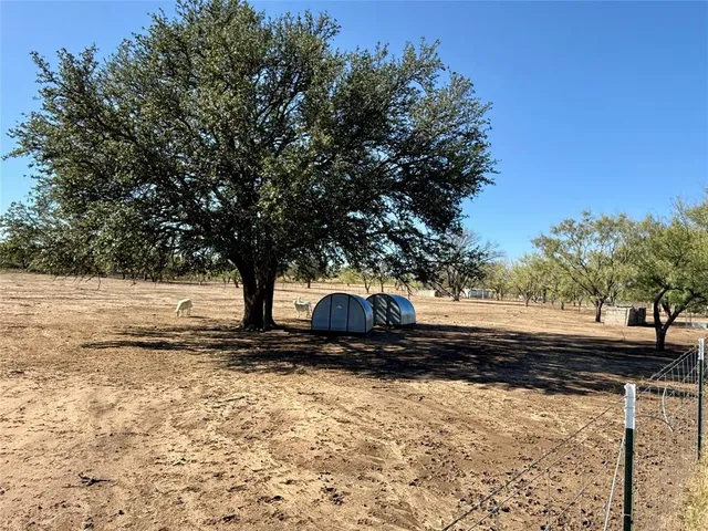 a view of a yard with trees