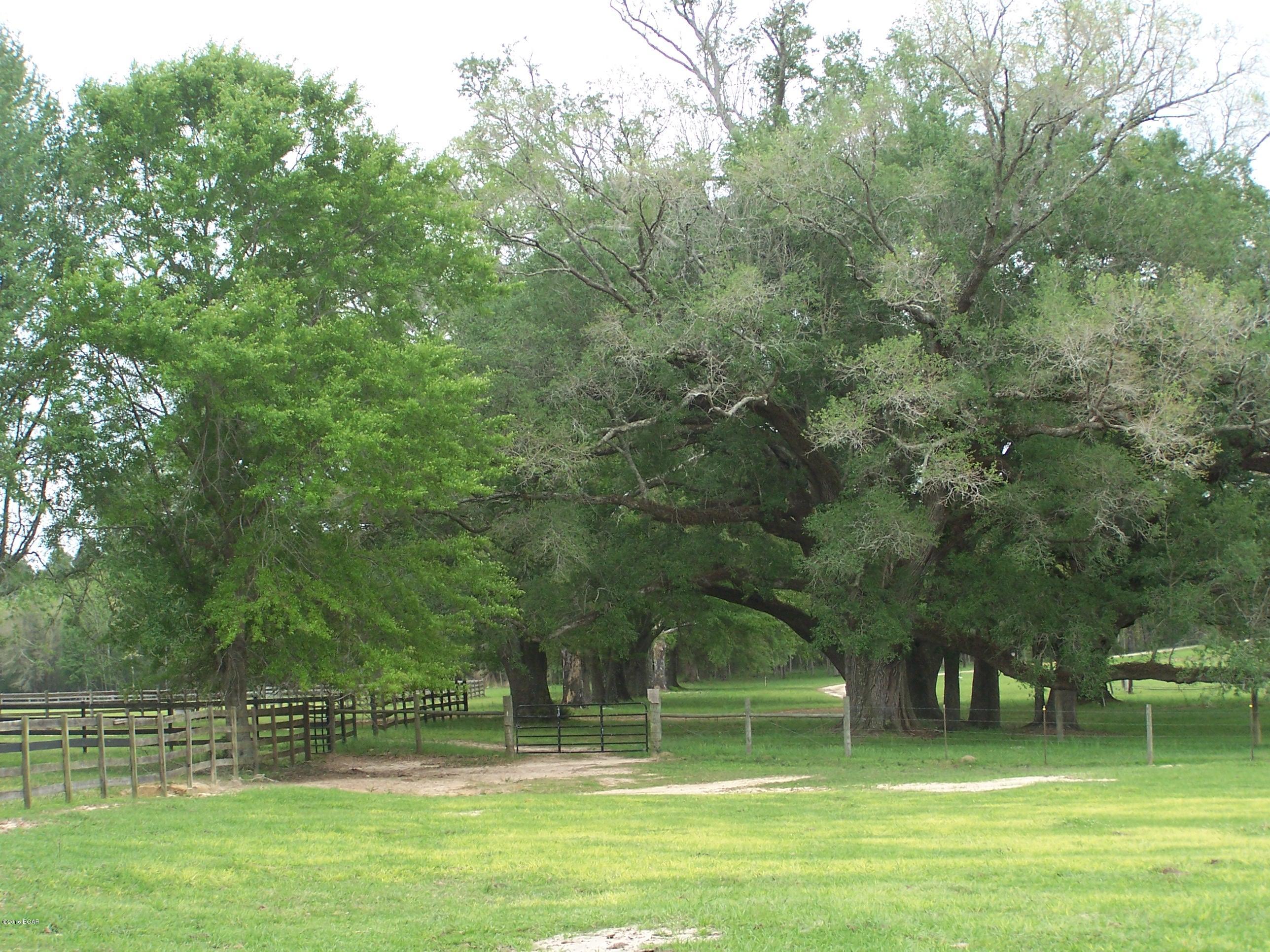 1059 Wilcox Crossing Road Bonifay, FL 32425 - Photo 68 of 70 Gallery Image 68
