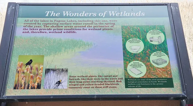 a view of a lake with a city view