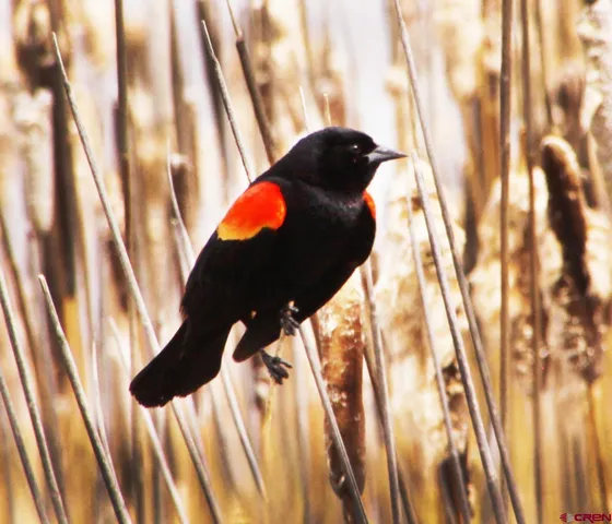 a sign that is on the side of the road