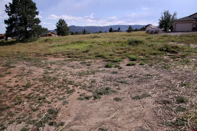 a view of a field with an trees