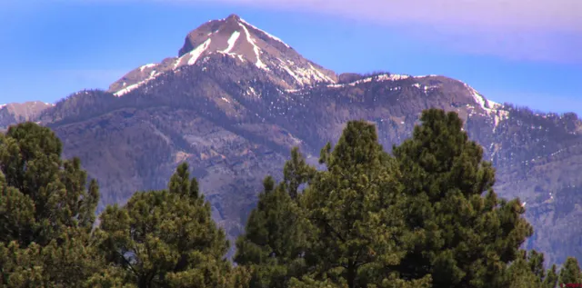 a view of a house in a field