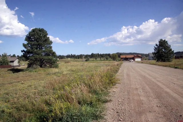 a view of a lake with houses in the background