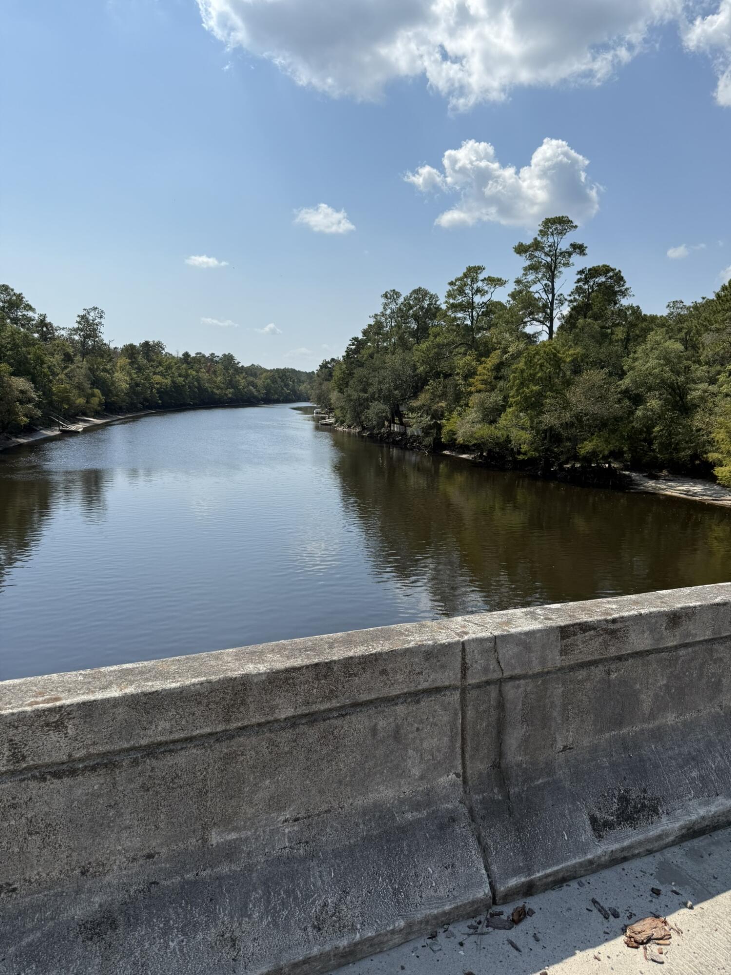 105 Happiness Lane Ridgeville, SC 29472 - Photo 12 of 17 42399D27-8AB9-40D9-90ED-ACA93C79EC5D