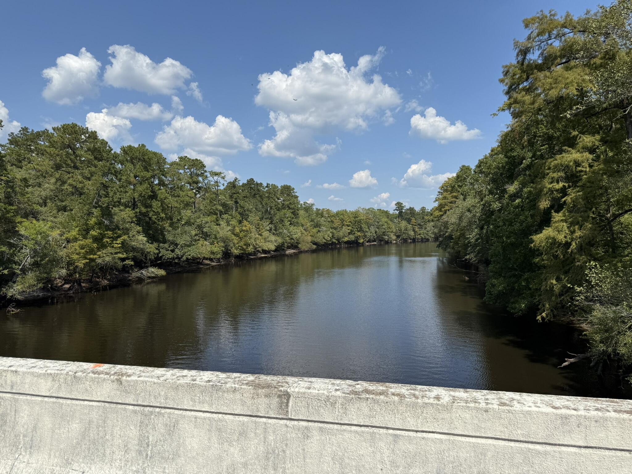 105 Happiness Lane Ridgeville, SC 29472 - Photo 13 of 17 61AE7B92-8C12-40BB-834C-C5009930E855