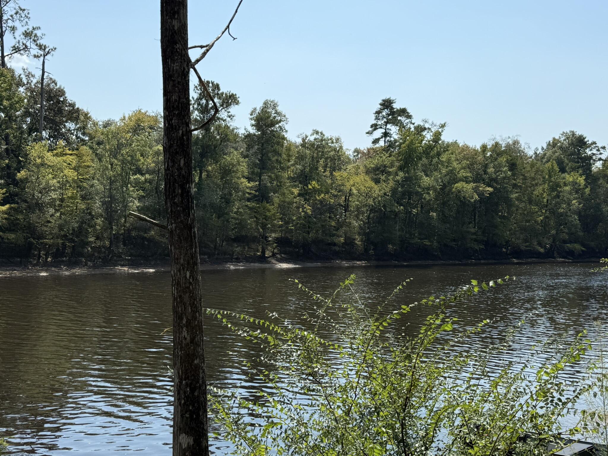 105 Happiness Lane Ridgeville, SC 29472 - Photo 14 of 17 E795A046-FD32-49B7-9F5D-D02A07094F56