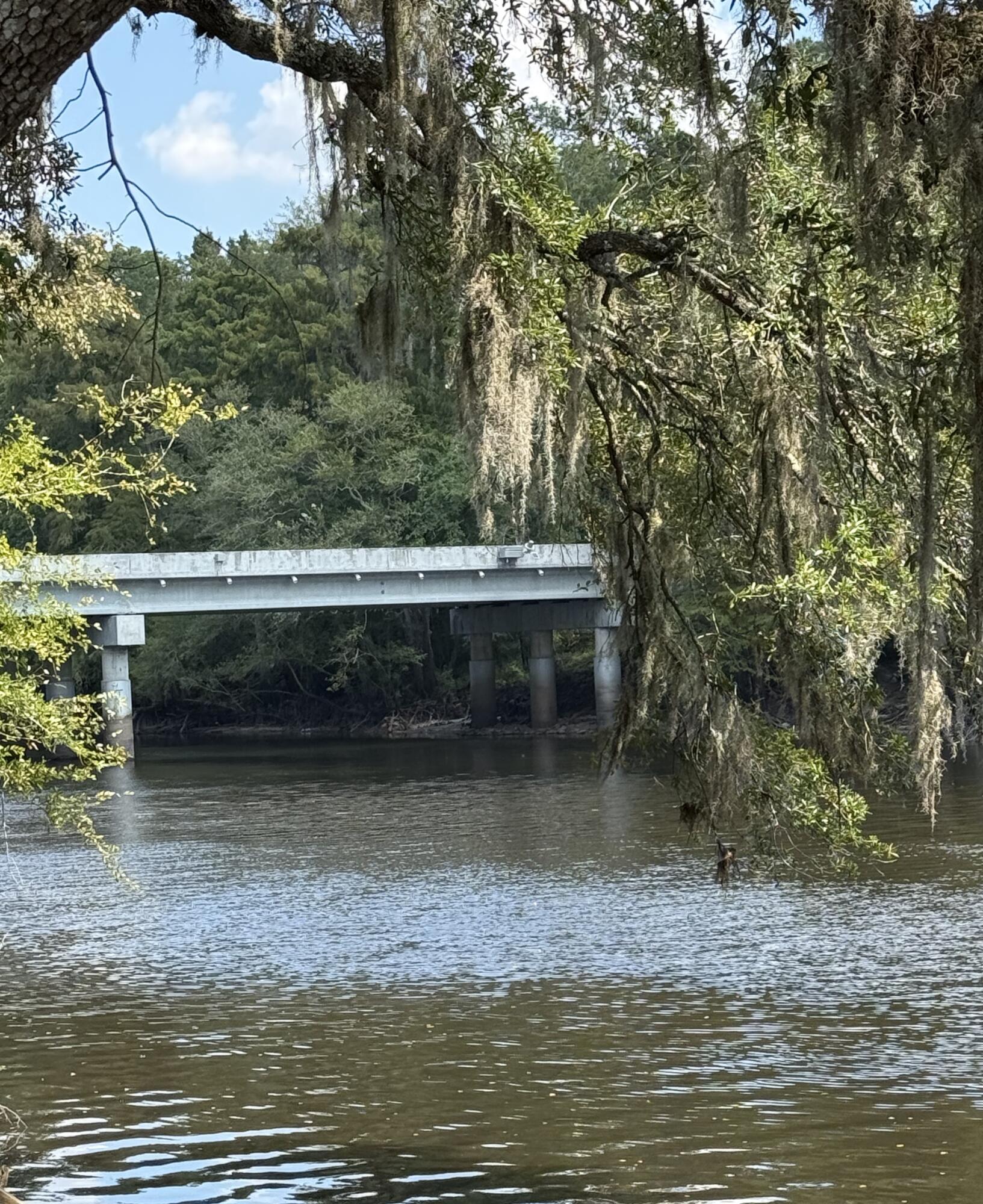 105 Happiness Lane Ridgeville, SC 29472 - Photo 2 of 17 IMG_2088(1)