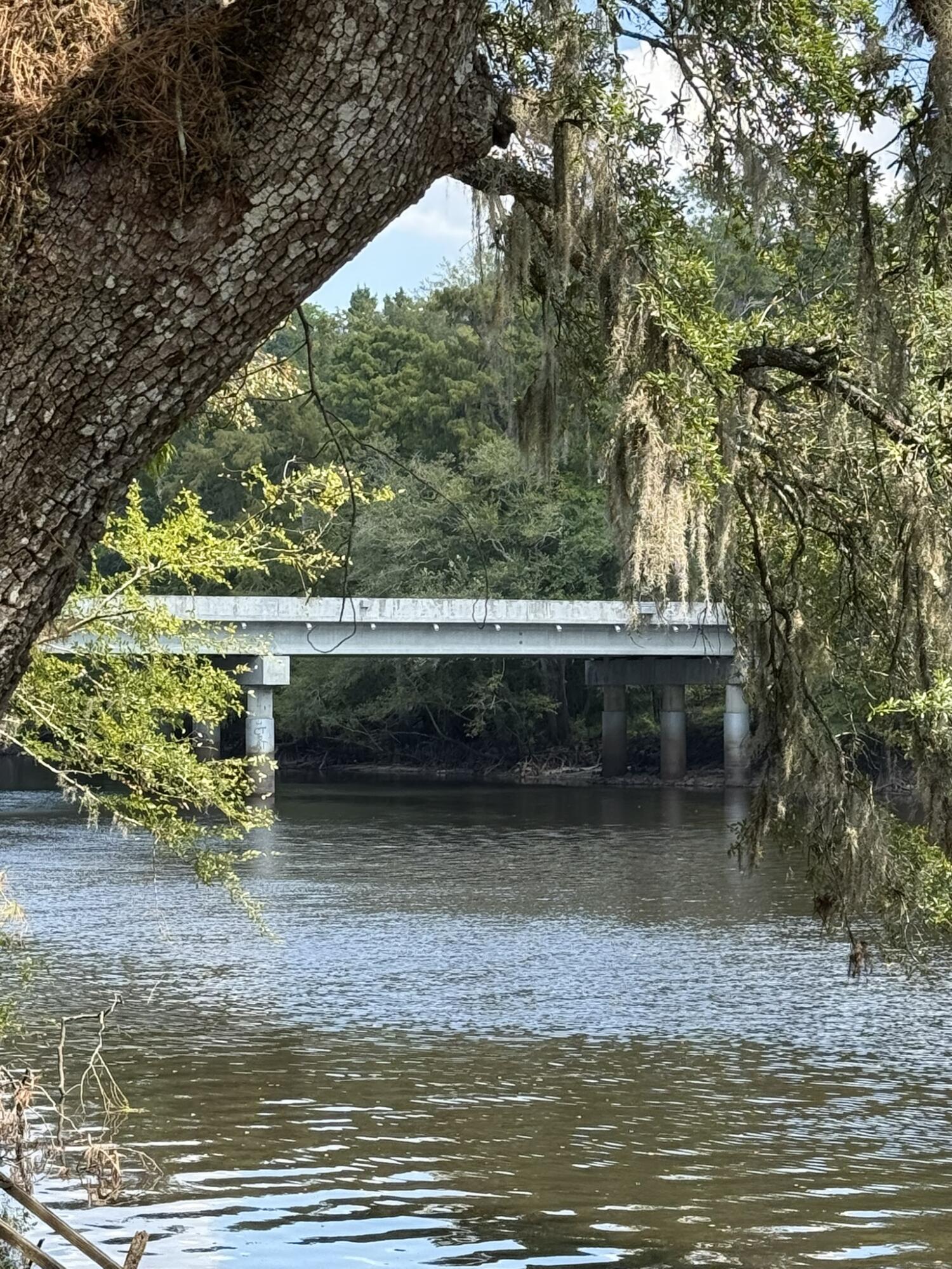 105 Happiness Lane Ridgeville, SC 29472 - Photo 3 of 17 CD360258-44E4-4869-8DC4-4107494A2C8A