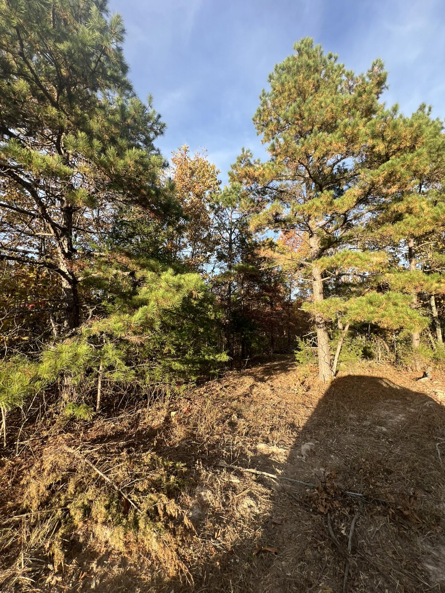 0 King Road Mountain Grove, MO 65711 - Photo 17 of 26 21