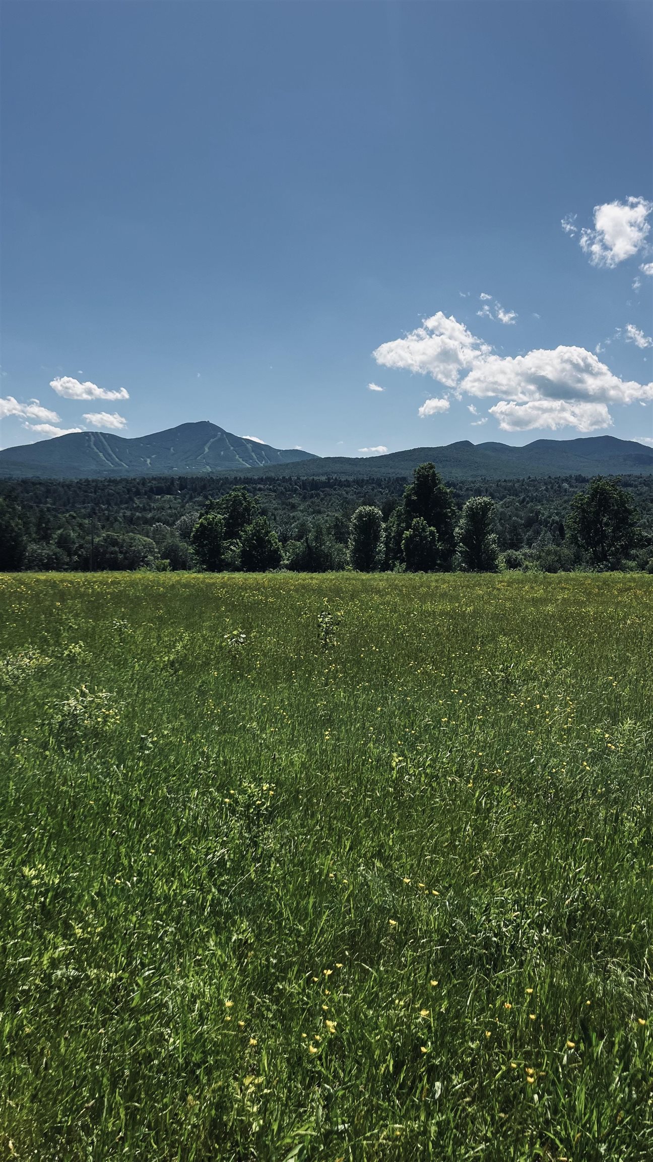 237 Loop Road Jay, VT 05859 - Photo 13 of 34