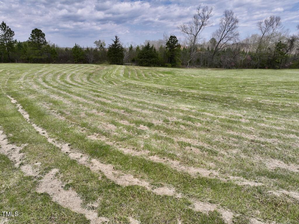 4 Bessie Hicks Road Norlina, NC 27563 - Photo 11 of 32 11