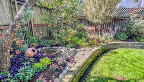 a view of a backyard with plants