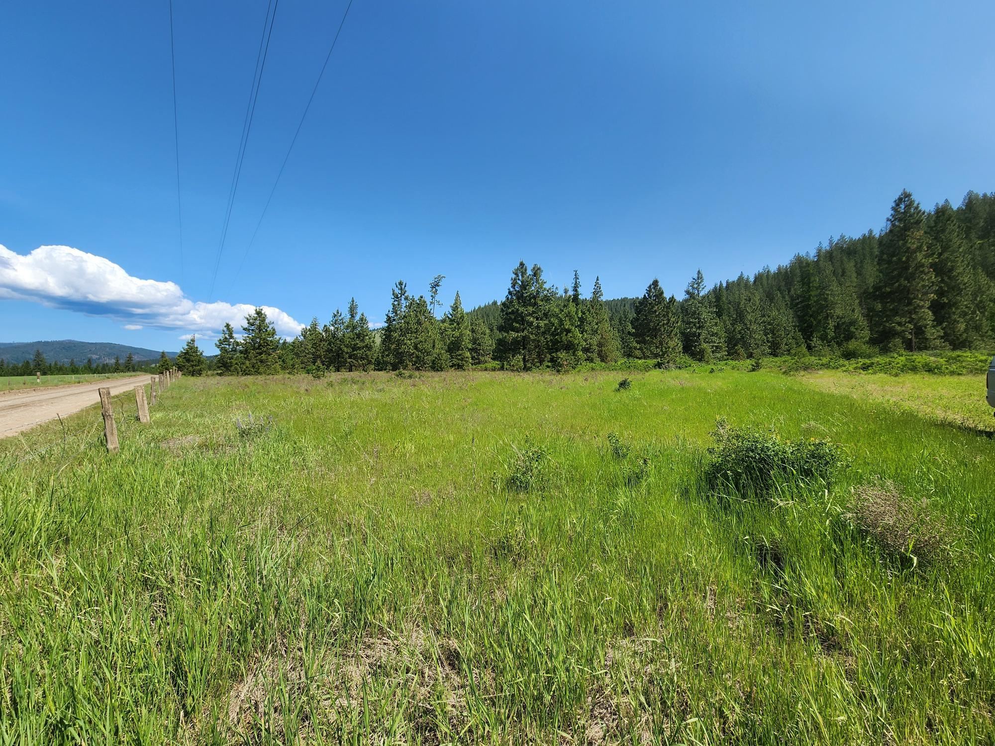 Xxx Hall Creek Road Inchelium, WA 99138 - Photo 22 of 22 Gallery Image 22