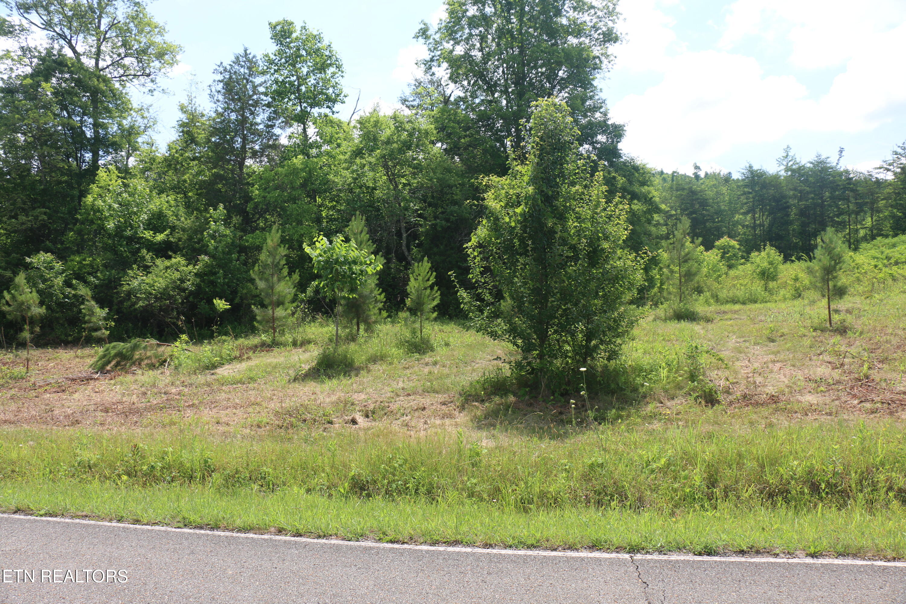 2 North Nopone Valley Road Decatur, TN 37322 - Photo 2 of 6 IMG_8459