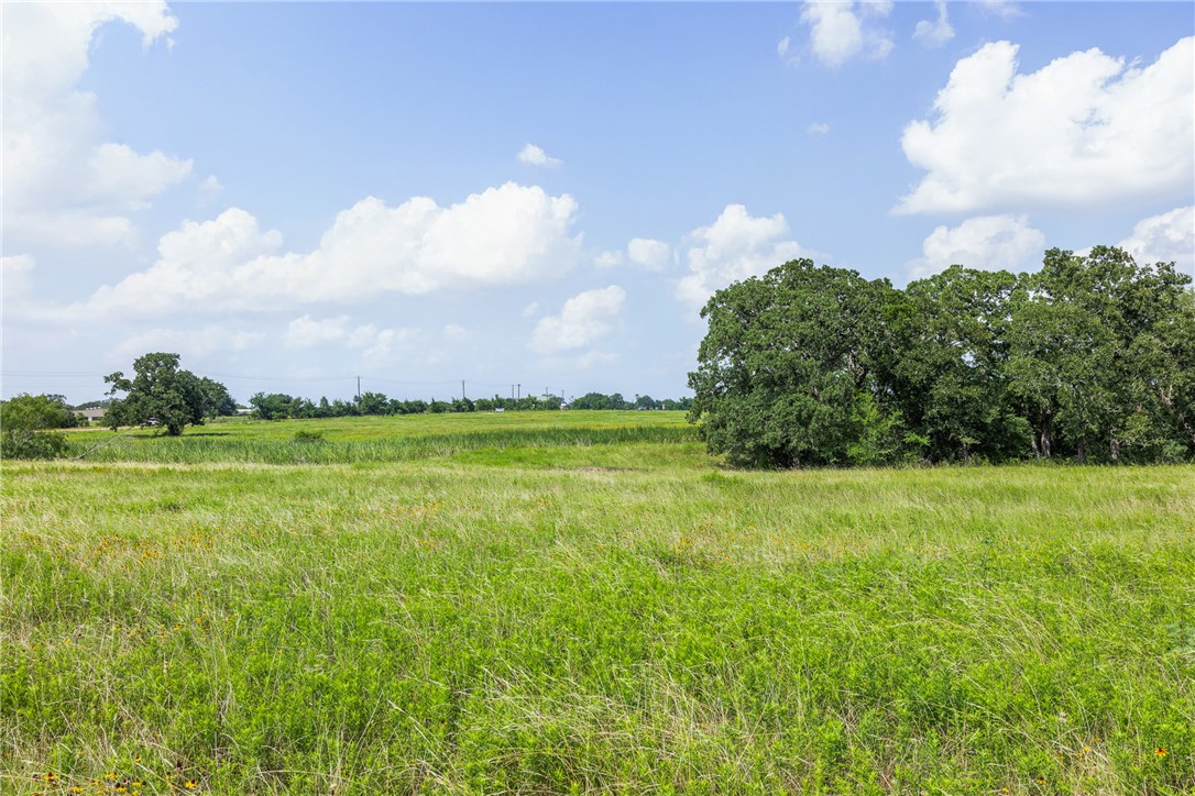 0 Hopes Creek Road College Station, TX 77845 - Photo 14 of 24