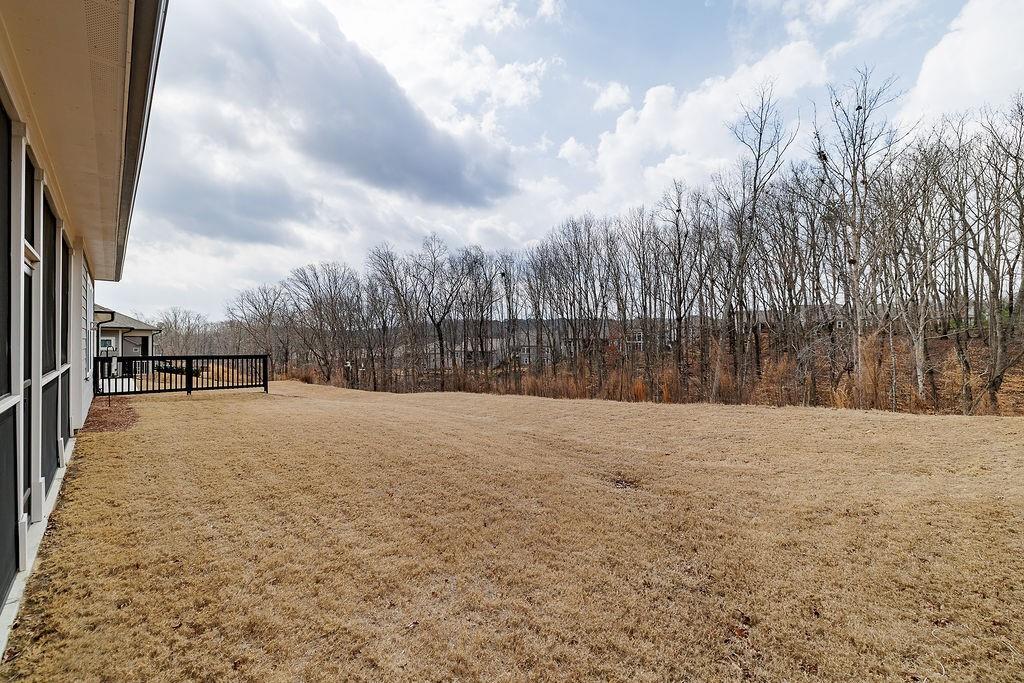6954 Scenic Overlook Trace Flowery Branch, GA 30542 - Photo 46 of 55 a view of outdoor space and yard