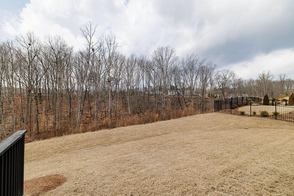 6954 Scenic Overlook Trace Flowery Branch, GA 30542 - Photo 47 of 55 a view of empty space with wooden fence