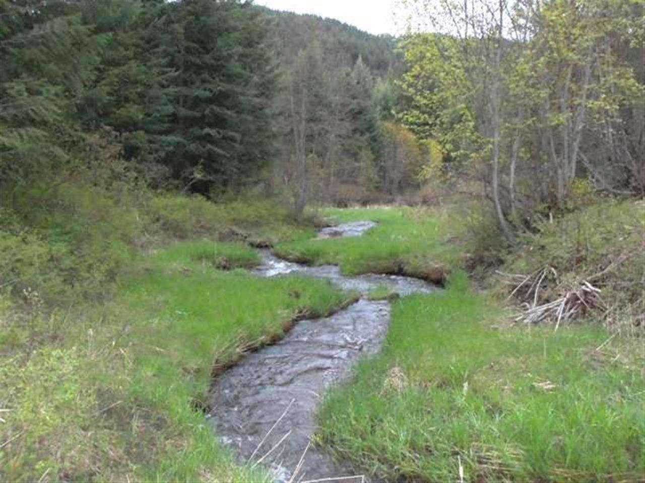 Tbd Addy-Gifford Road Gifford, WA 99131 - Photo 1 of 11 Gallery Image 1