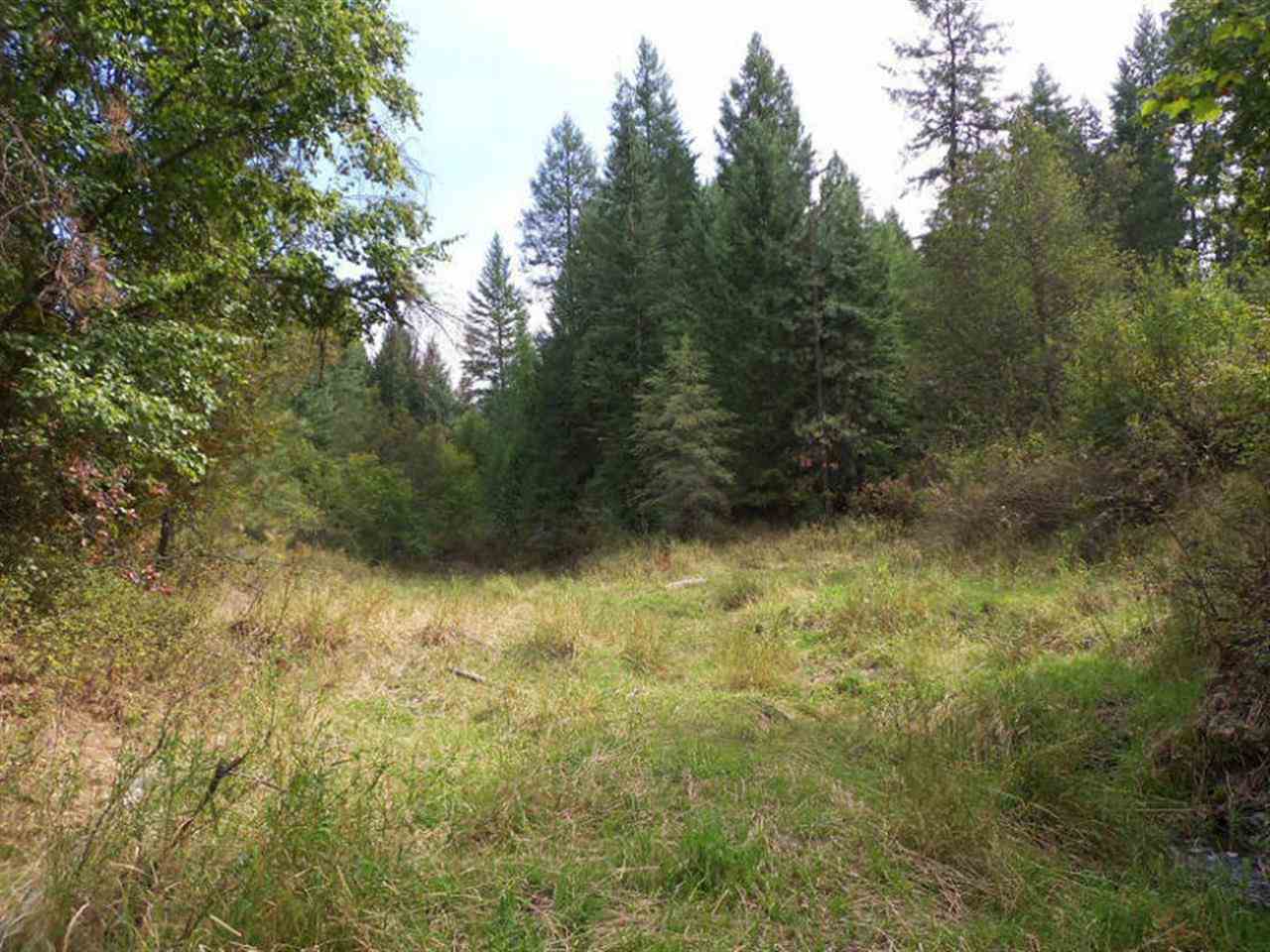 Tbd Addy-Gifford Road Gifford, WA 99131 - Photo 3 of 11 Gallery Image 3
