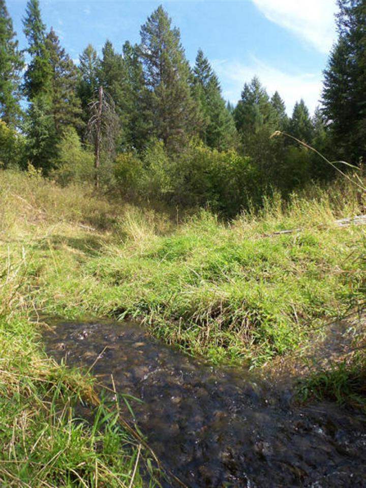 Tbd Addy-Gifford Road Gifford, WA 99131 - Photo 4 of 11 Gallery Image 4