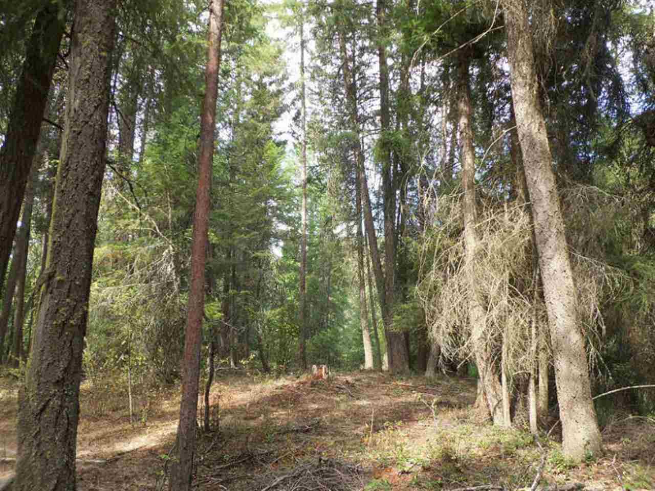 Tbd Addy-Gifford Road Gifford, WA 99131 - Photo 5 of 11 Gallery Image 5