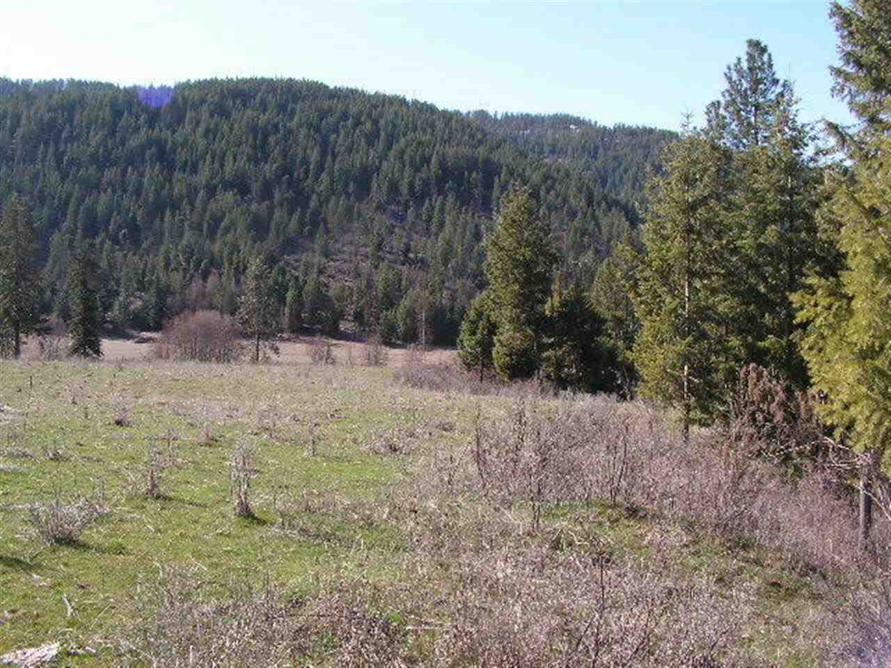 Tbd Addy-Gifford Road Gifford, WA 99131 - Photo 8 of 11 Gallery Image 8