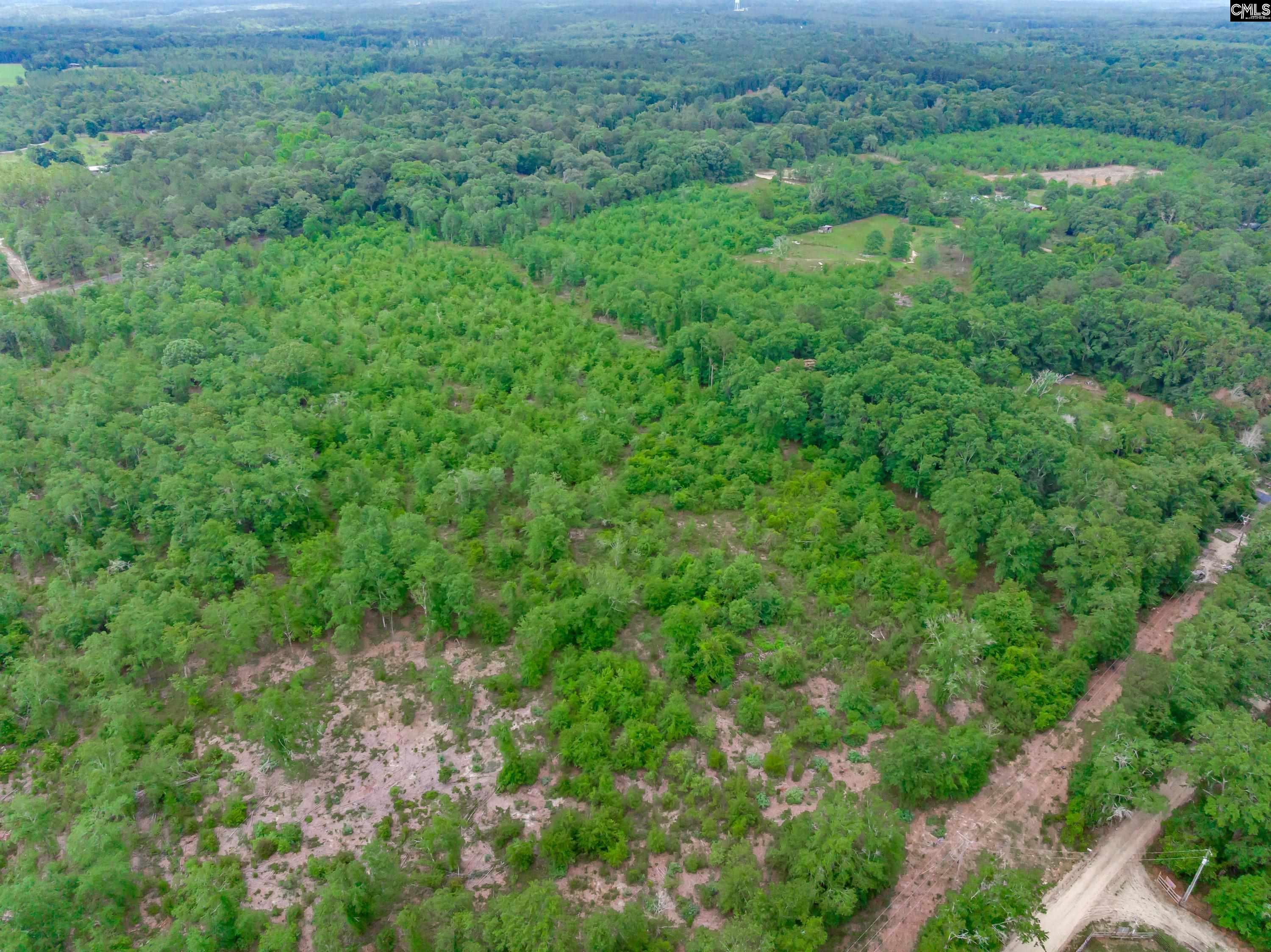 0 Seivern Road Wagener, SC 29164 - Photo 13 of 23