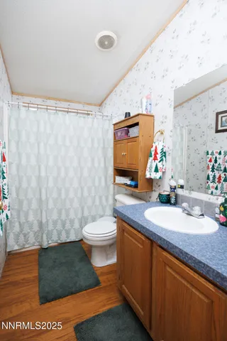 a bathroom with a sink a toilet and shower curtain