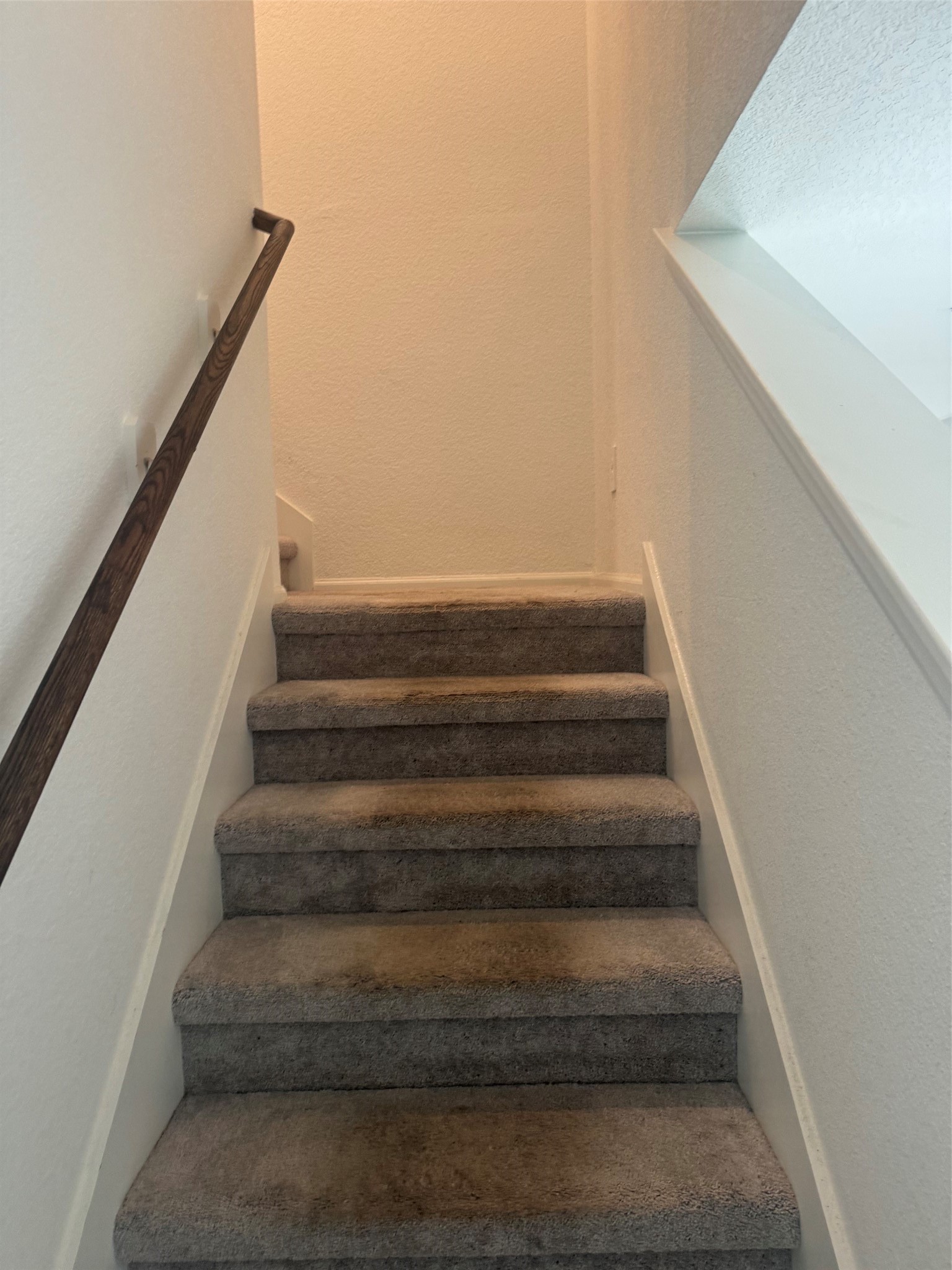3202 Holly Stokes Way Conroe, TX 77301 - Photo 13 of 24 a view of entryway